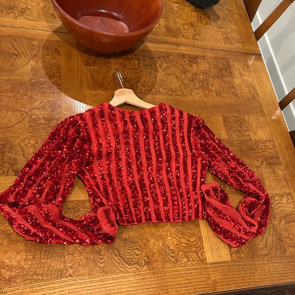 Saloni Camille crop top red sequins sz 2 - Picture 4 of 9